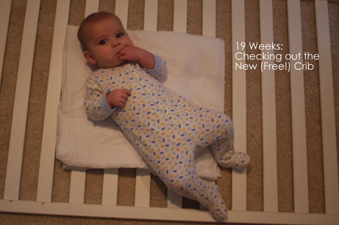 19 weeks checking out the new free crib