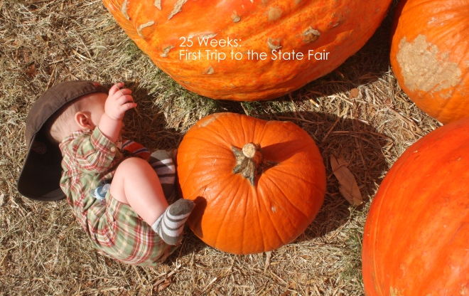 25 weeks state fair